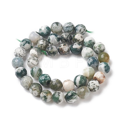 Natural Tree Agate Beads Strands G-S281-15-10mm-1