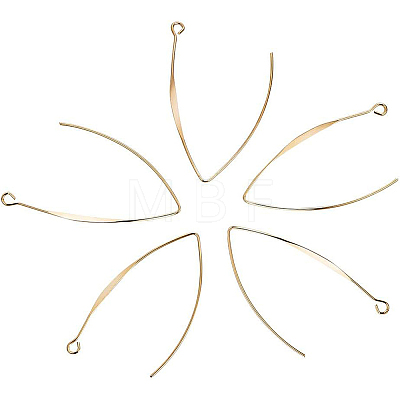 Brass Earring Hooks KK-BC0003-75G-1