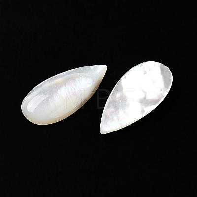 Natural White Shell Cabochons SSHEL-M022-04-1