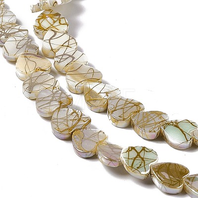Drawbench Style Natural Freshwater Shell Beads Strands SHEL-F003-03-1