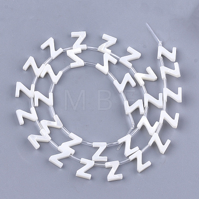 Natural Freshwater Shell Beads X-SHEL-T012-59-1