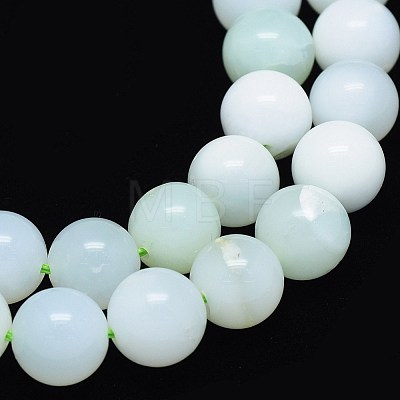 Natural Green Opal Beads Strands G-O180-07-10mm-1