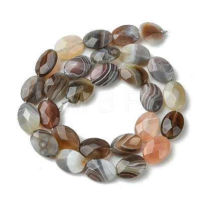 Natural Botswana Beads Strands G-H004-B02-04-1