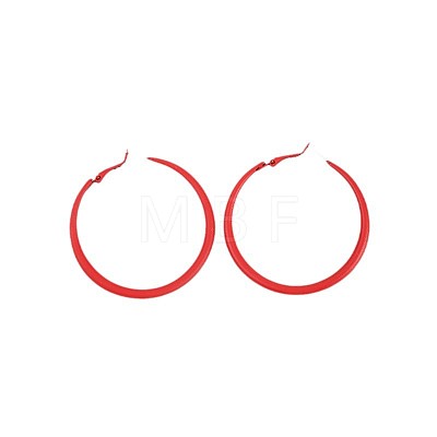 Spray Painted Alloy Hoop Earrings FS-WG43B6B-01-1