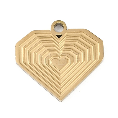 304 Stainless Steel Charms STAS-I325-136E-G-1