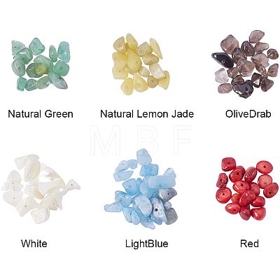 Natural Lemon Jade & Aquamarine &  Green Aventurine & White Shell & Natural Red Jasper Chip Beads G-PH0033-02-1