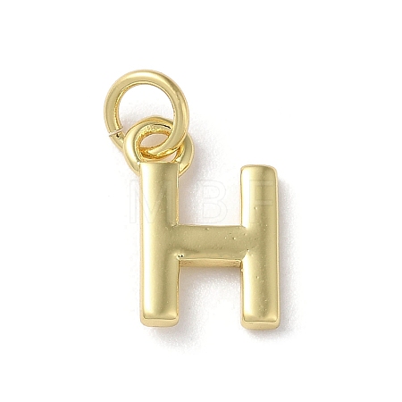 Rack Plating Brass Charms KK-P245-06G-H-1