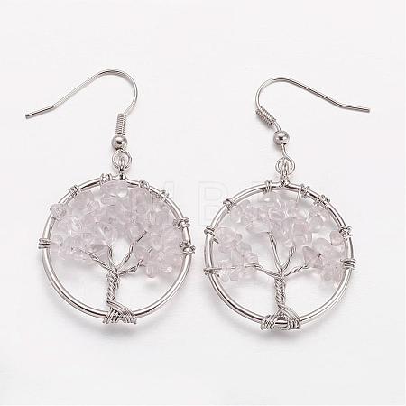 Dangle Earrings EJEW-N0030-02-1