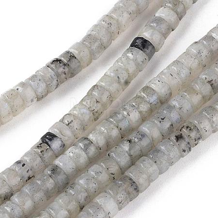 Natural Labradorite Beads Strands G-L528-08-1