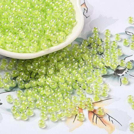 Glass Seed Beads SEED-H002-L-A233-1