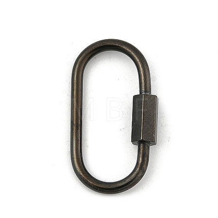 Ion Plating(IP) 304 Stainless Steel Screw Carabiner Lock Charms STAS-H107-04D-B-1
