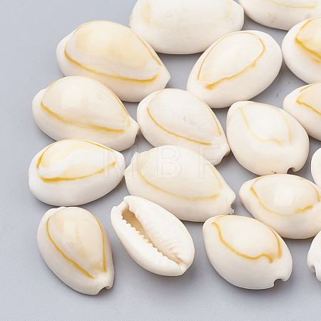 Natural Cowrie Shell Beads X-SSHEL-T004-07-1