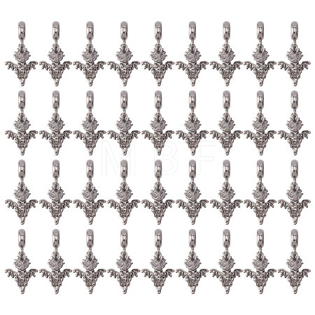 36Pcs Alloy European Dangle Charms MPDL-CA0001-06B-1