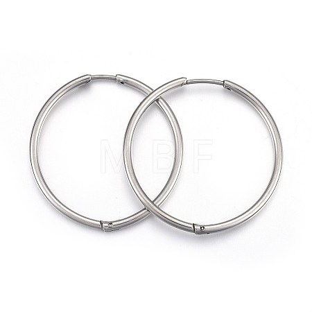 Tarnish Resistant 304 Stainless Steel Huggie Hoop Earrings X-EJEW-L205-02A-P-1