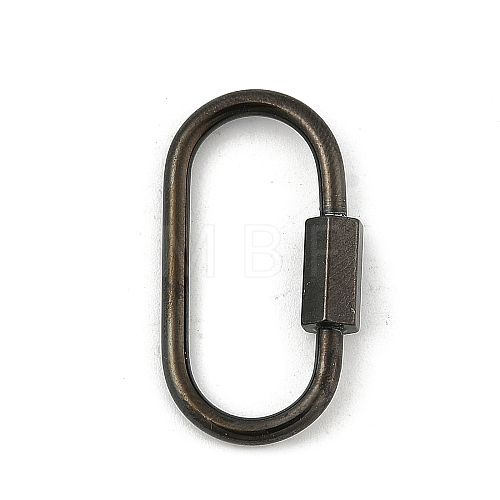 Ion Plating(IP) 304 Stainless Steel Screw Carabiner Lock Charms STAS-H107-04D-B-1