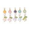 5Pcs Handmade Lampwork Pendants PALLOY-TA00397-1