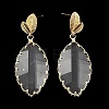 Brass Leaf Dangle Stud Earrings EJEW-Q800-38KCG-2