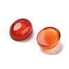 Dyed & Heated Natural Carnelian Cabochons G-G145-01A-23-2