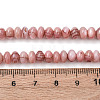 Natural Sea Shell Beads Strands SHEL-K006-75-4