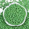 Baking Paint Glass Seed Beads X1-SEED-K010-A27-3
