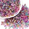 Baking Paint Transparent Glass Seed Beads X-SEED-N006-05-1