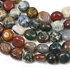 Natural Indian Agate Beads Strands GG-CBA787B-A23-3