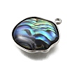 304 Stainless Steel Pave Natural Paua Shell Pendants STAS-Z125-01H-P-2