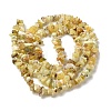 Natural Yellow Opal Chip Beads Strands G-G905-15-3