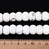 Dyed Natural Agate Beads Strands G-T144-26A-5