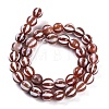 Tibetan Style dZi Beads Strands G-C133-A05-03-3