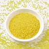 MIYUKI Delica Beads SEED-J020-DB0743-2