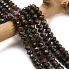 Natural Bronzite Beads Strands G-Z111-A25-1