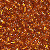 6/0 Glass Seed Beads X1-SEED-A005-4mm-29-2