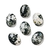 Natural Tree Agate Cabochons G-G145-01B-54-1