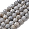 Natural Gemstone Beads Strands G-L641-A01-04-2
