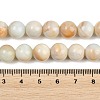Handmade Lampwork Beads Strand LAMP-B056-10mm-6
