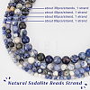 Olycraft 4 Strands 4 Styles Natural Sodalite Beads Strand G-OC0005-08-4