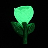 Luminous Resin Cabochons RESI-E047-01A-1