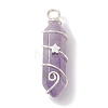 Natural Amethyst Double Terminal Pointed Pendants PALLOY-JF02673-01-1