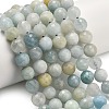 Natural Aquamarine Beads Strands G-L642-F05-10mm-1