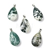 Natural Tree Agate Pendants GG-K002-09L-1