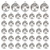 120Pcs Tibetan Style Alloy Pendants FIND-UN0007-20AS-1