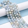 Natural Aquamarine Beads Strands G-K323-19-2