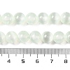 Natural Selenite Beads Strands G-C142-01C-06-5