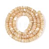 Natural Trochid Shell/Trochus Shell Beads Strands BSHE-T014-54B-2