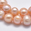 Natural Cultured Freshwater Pearl Beads Strands PEAR-F007-06A-01-3