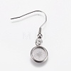 Stainless Steel Dangle Earrings LS-EJEW-WH0001-A05-1