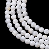 Natural Freshwater Shell Beads Strands SH-CBA2978-07D-03-2