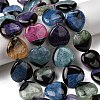 Natural Agate Beads Strands G-F820-E01-01-1