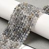 Natural Rainbow Moonstone Beads Strands G-R475-025D-5